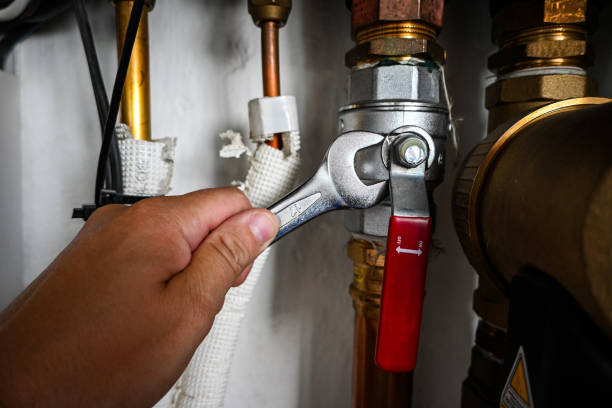 Reliable Lutz, FL Plumber Solutions